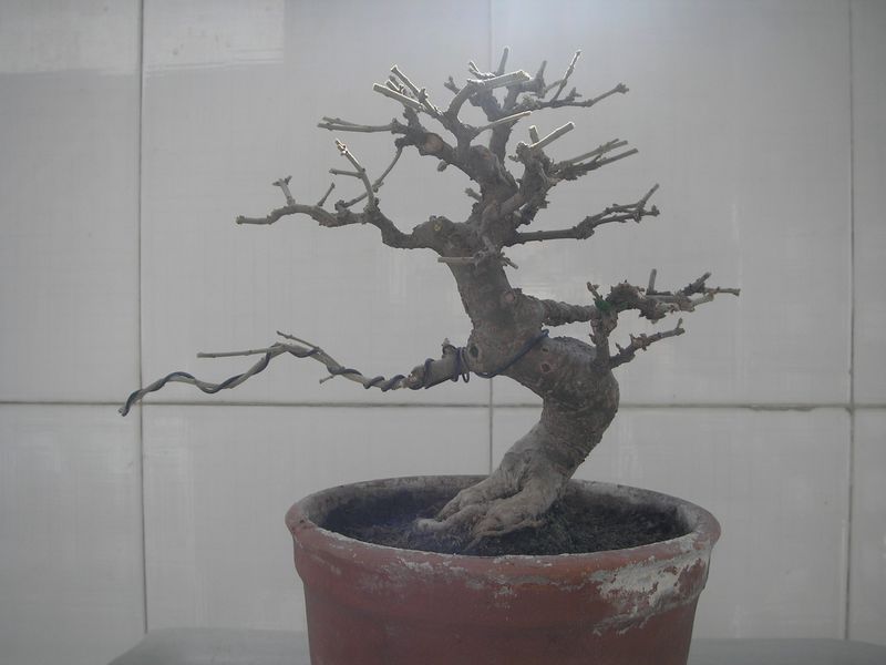 P2064874.JPG