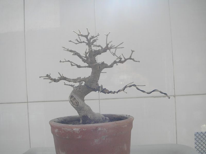 P2064873.JPG