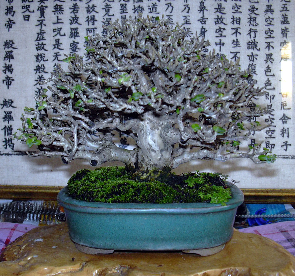 20070223015830382.jpg