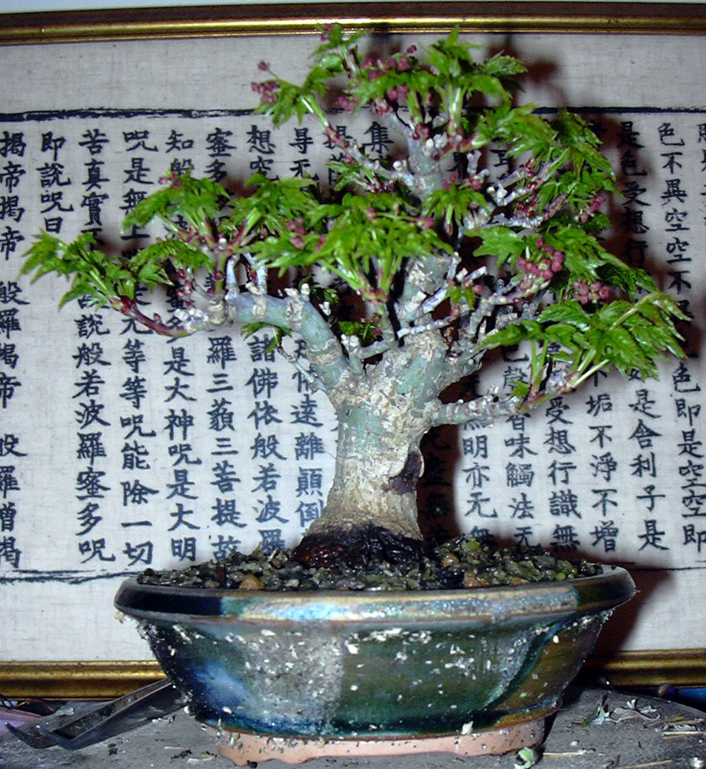 20070306120503328.jpg