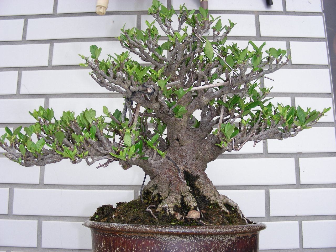 F23_20090928021449268.jpg