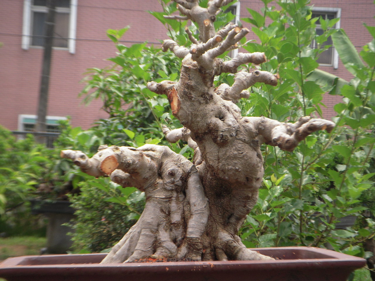 F23_20110724020614244.jpg
