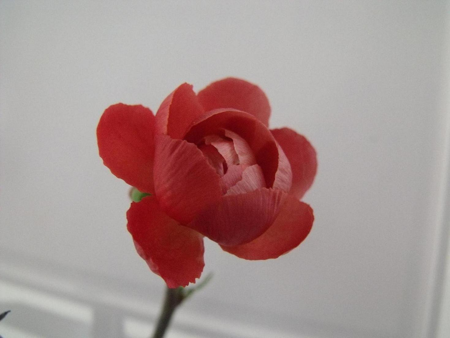 DSCF3806.JPG