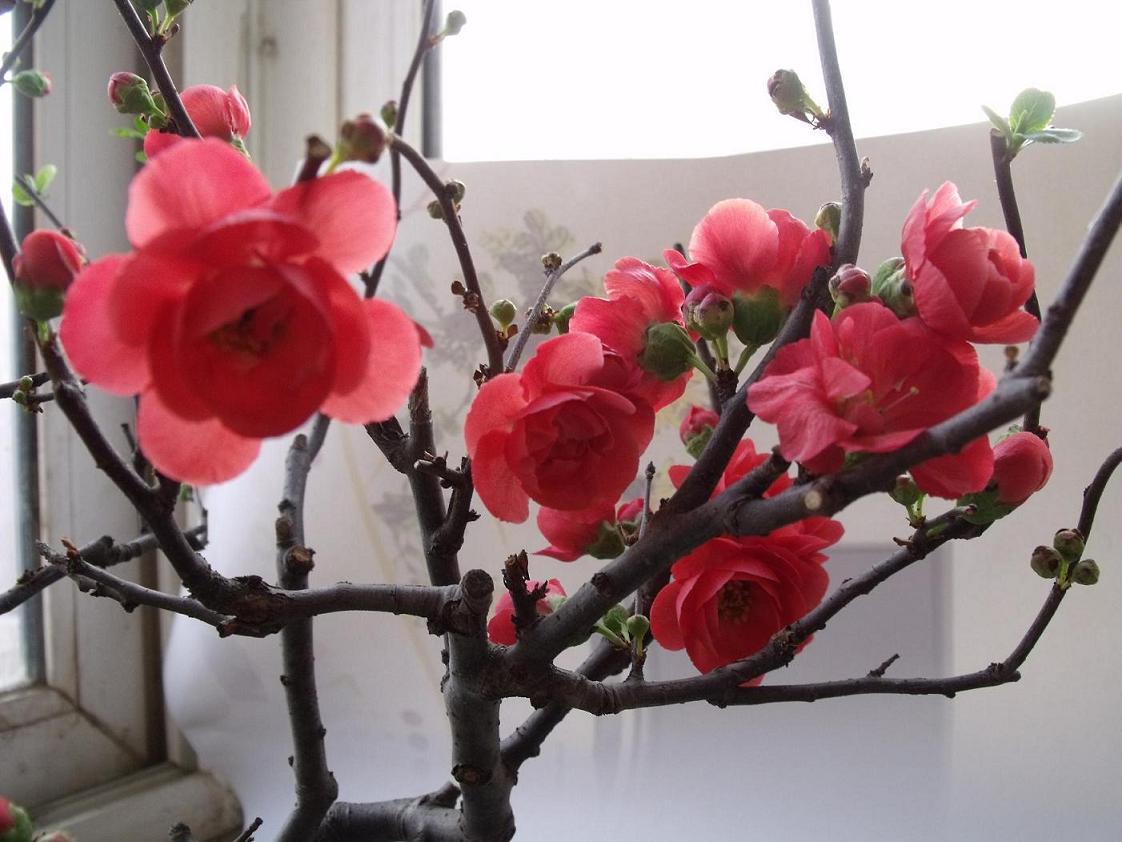 DSCF3808.JPG