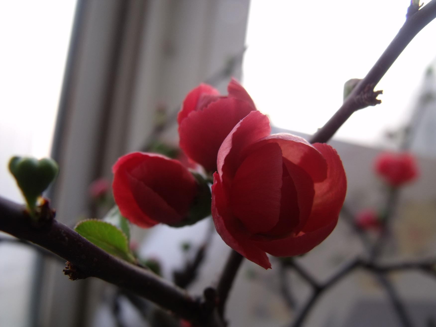 DSCF3809.JPG