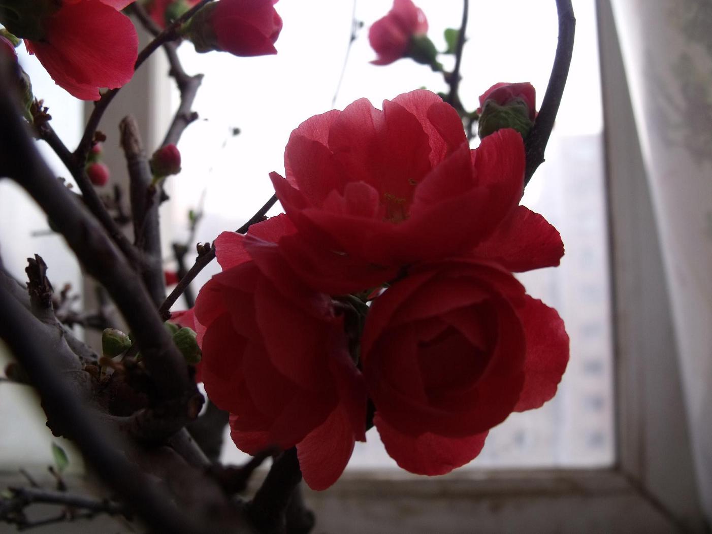 DSCF3811.JPG