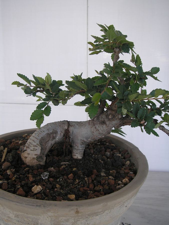 P9294372.JPG