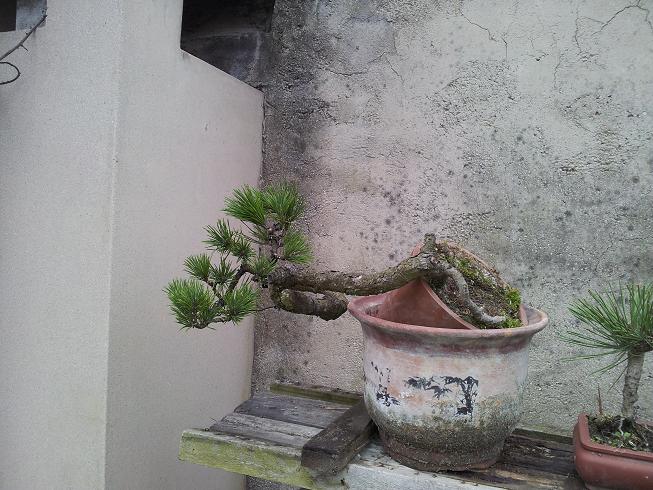 20130212_135632.jpg