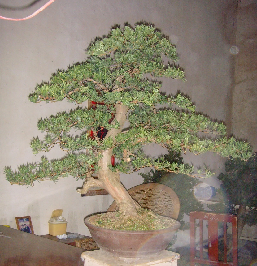SNV39330.JPG