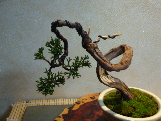 DSC02075.JPG