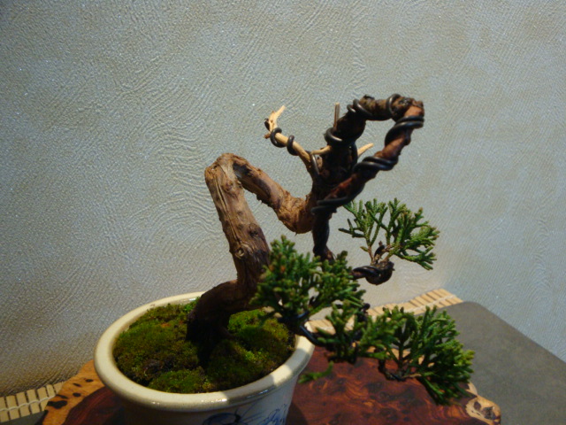DSC02076.JPG