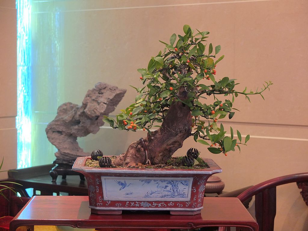 DSCF0370.jpg