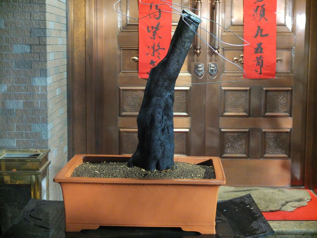DSCF0356.jpg