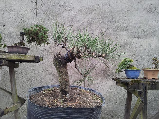20130215_110848.jpg