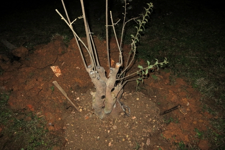 13.jpg