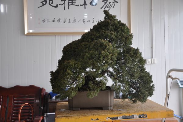 ҵ辰 265.jpg