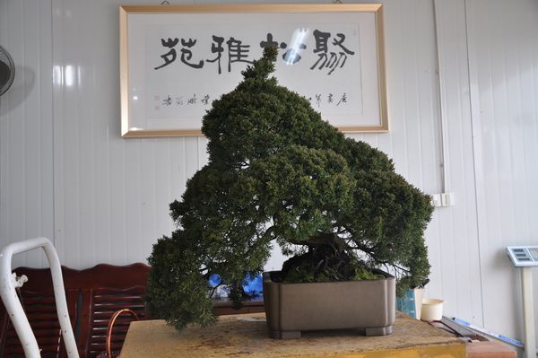 ҵ辰 266.jpg