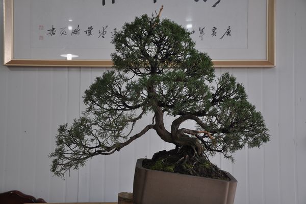 ҵ辰 272.jpg