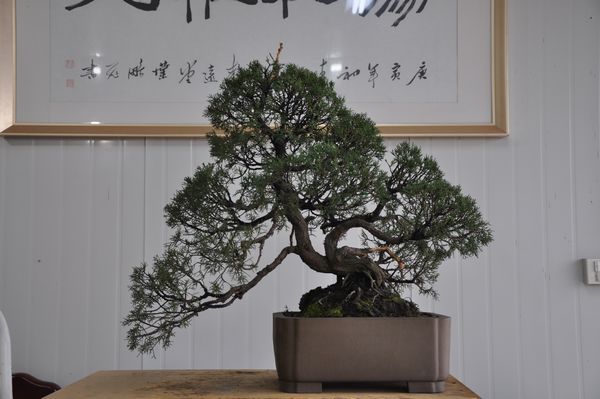 ҵ辰 275.jpg