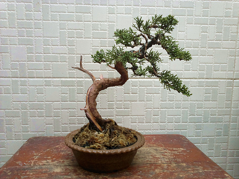 201302182272_.jpg