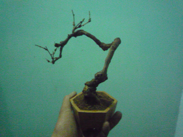 P1080074.JPG