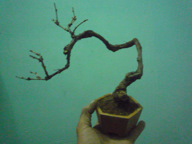 P1080075.JPG