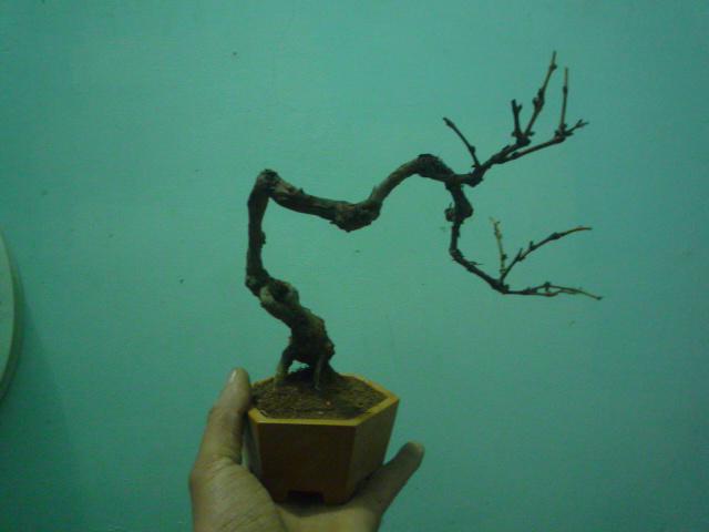 P1080076.JPG