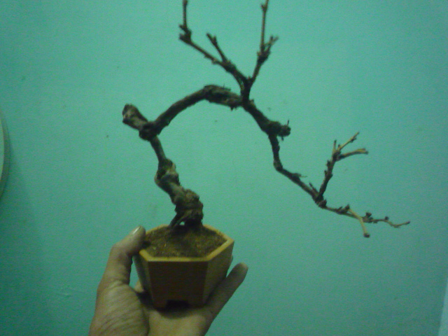 P1080077.JPG