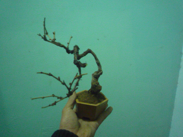 P1080078.JPG
