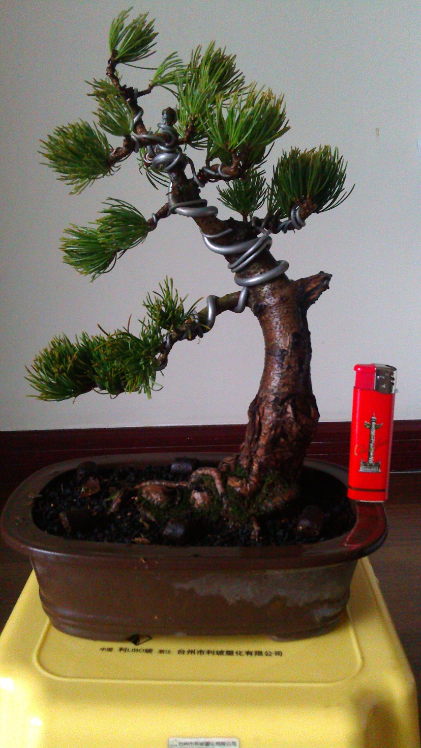 IMAG0185.jpg