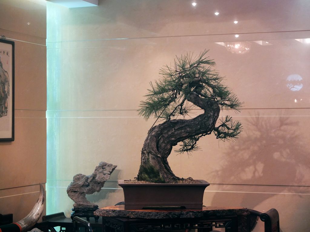 DSCF9630.jpg