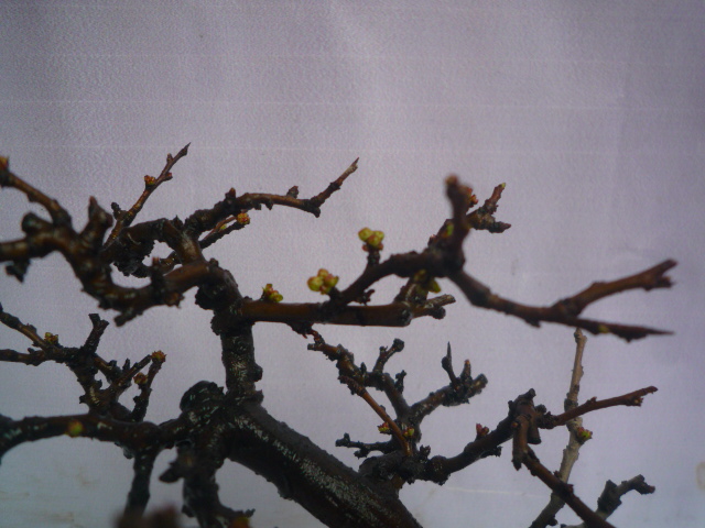 P1080114.JPG
