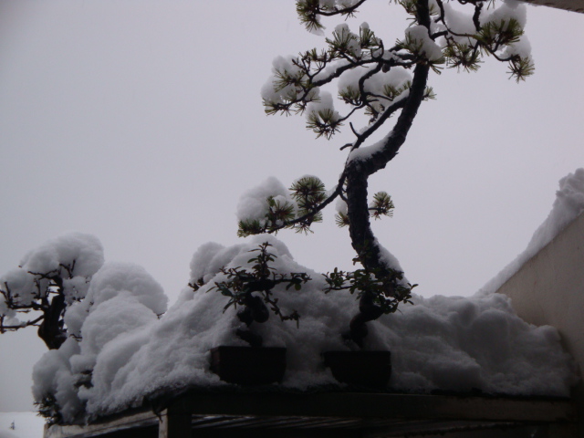 DSC02175.JPG