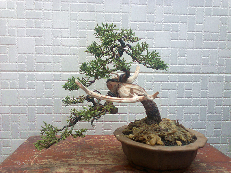 201302202382_.jpg