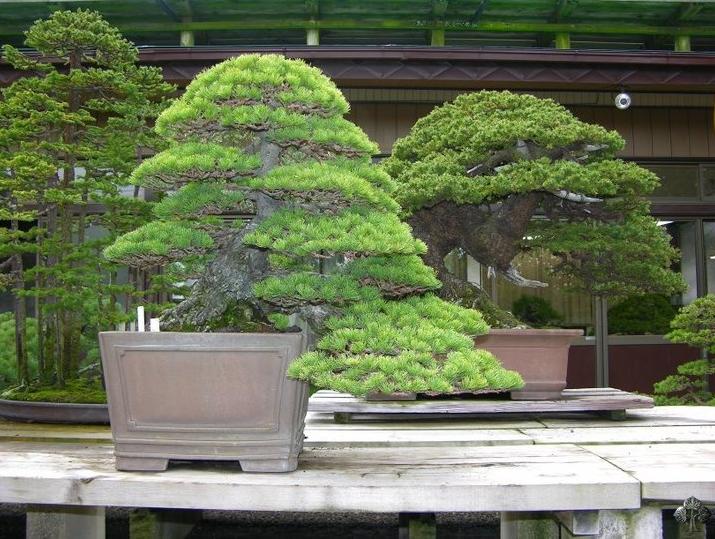 360ͼ20120501122948309.jpg
