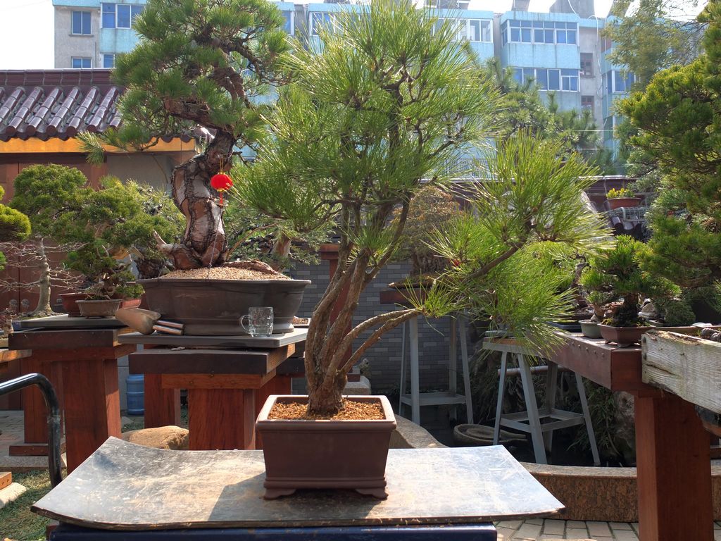 DSCF0739.jpg
