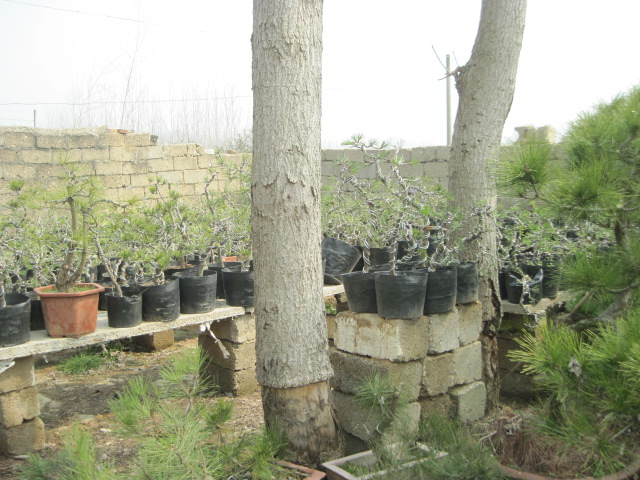 20130223СƷ 001.jpg