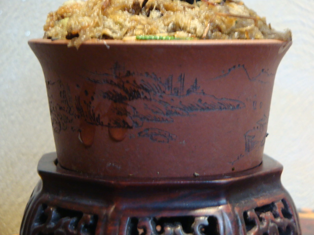DSC02206.JPG