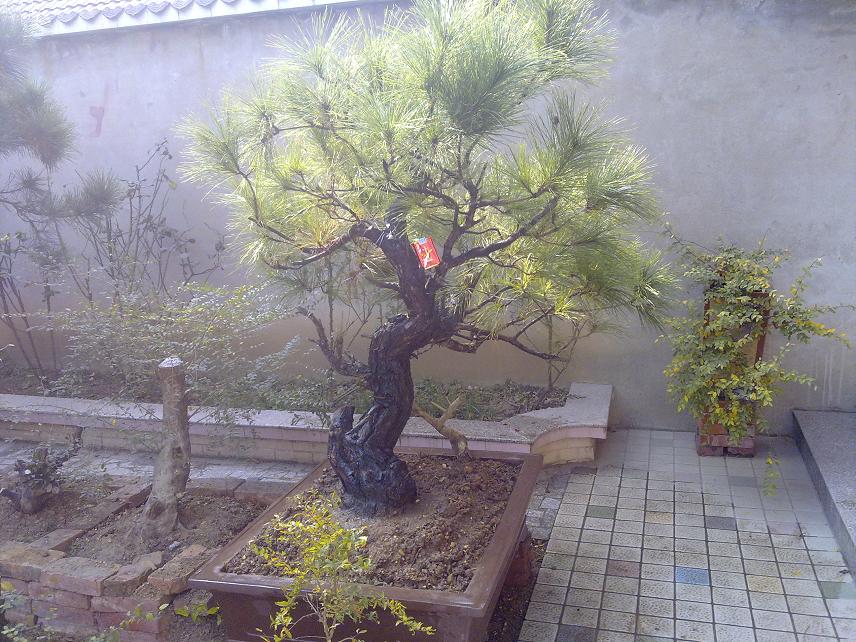 20101206179.jpg