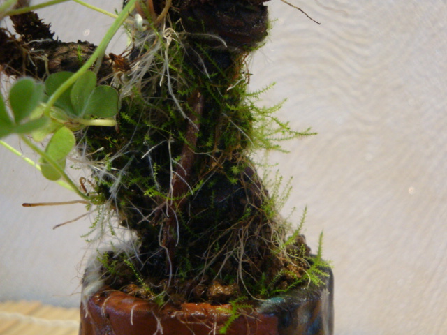 DSC02024.JPG
