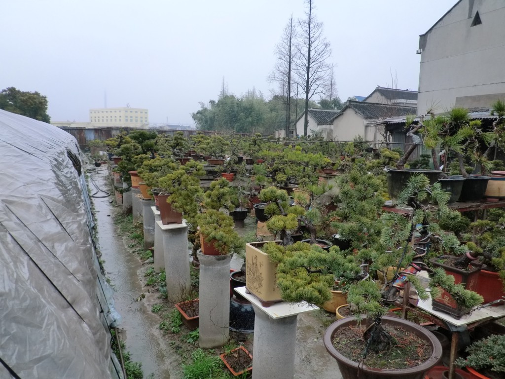 conew_cimg1172.jpg