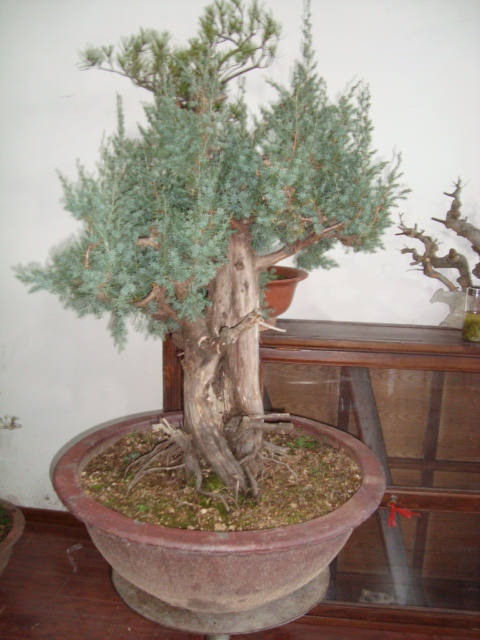 DSC06080.jpg