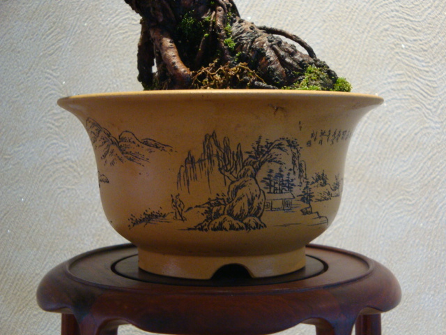 DSC02012.JPG