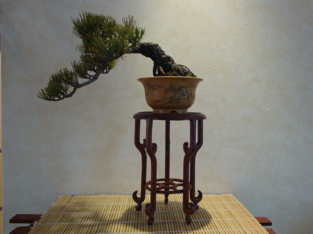 DSC02010.JPG