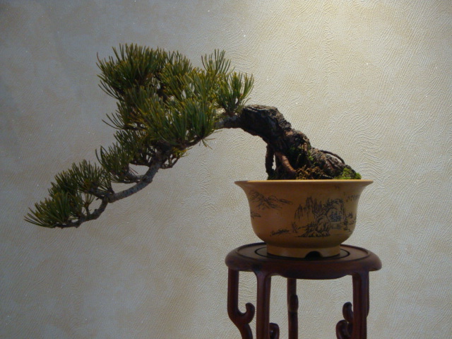 DSC02011.JPG
