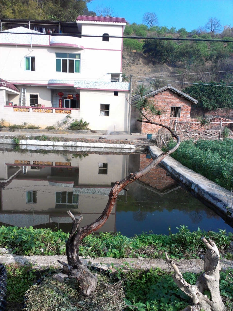 IMAG0583.jpg