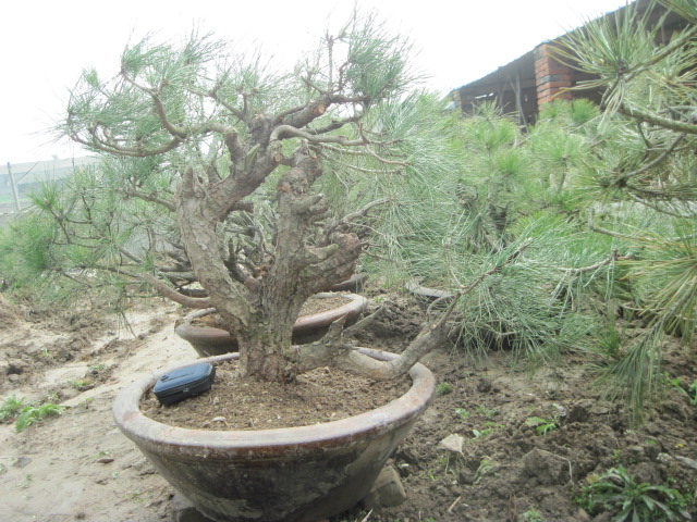 201302228 001.jpg