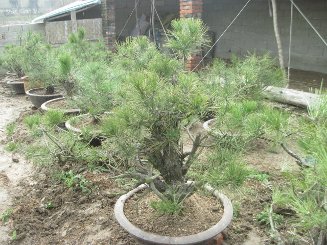 201302228 002.jpg