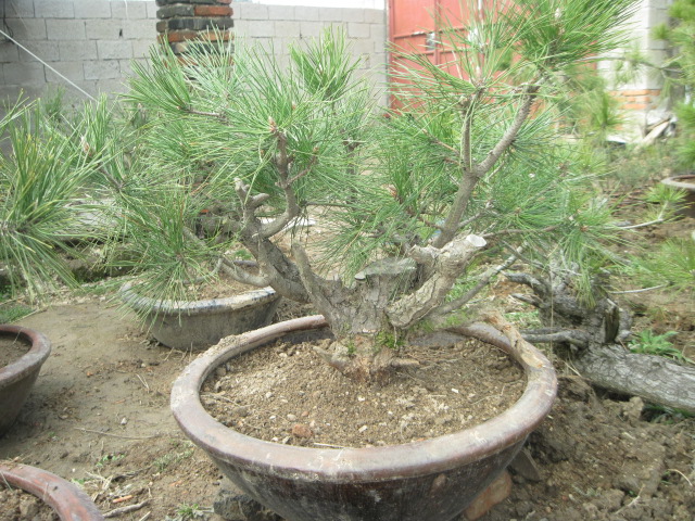 201302228 003.jpg