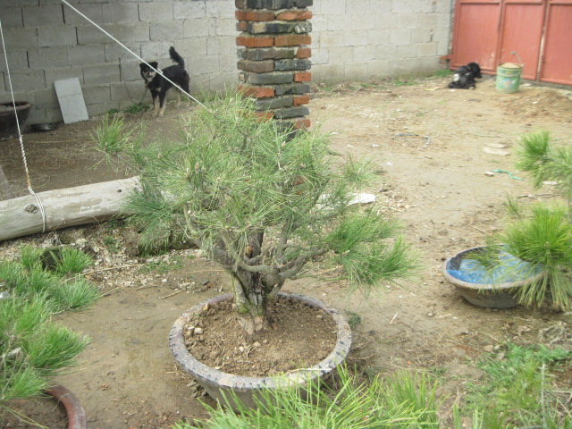 201302228 005.jpg